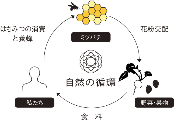 自然の循環