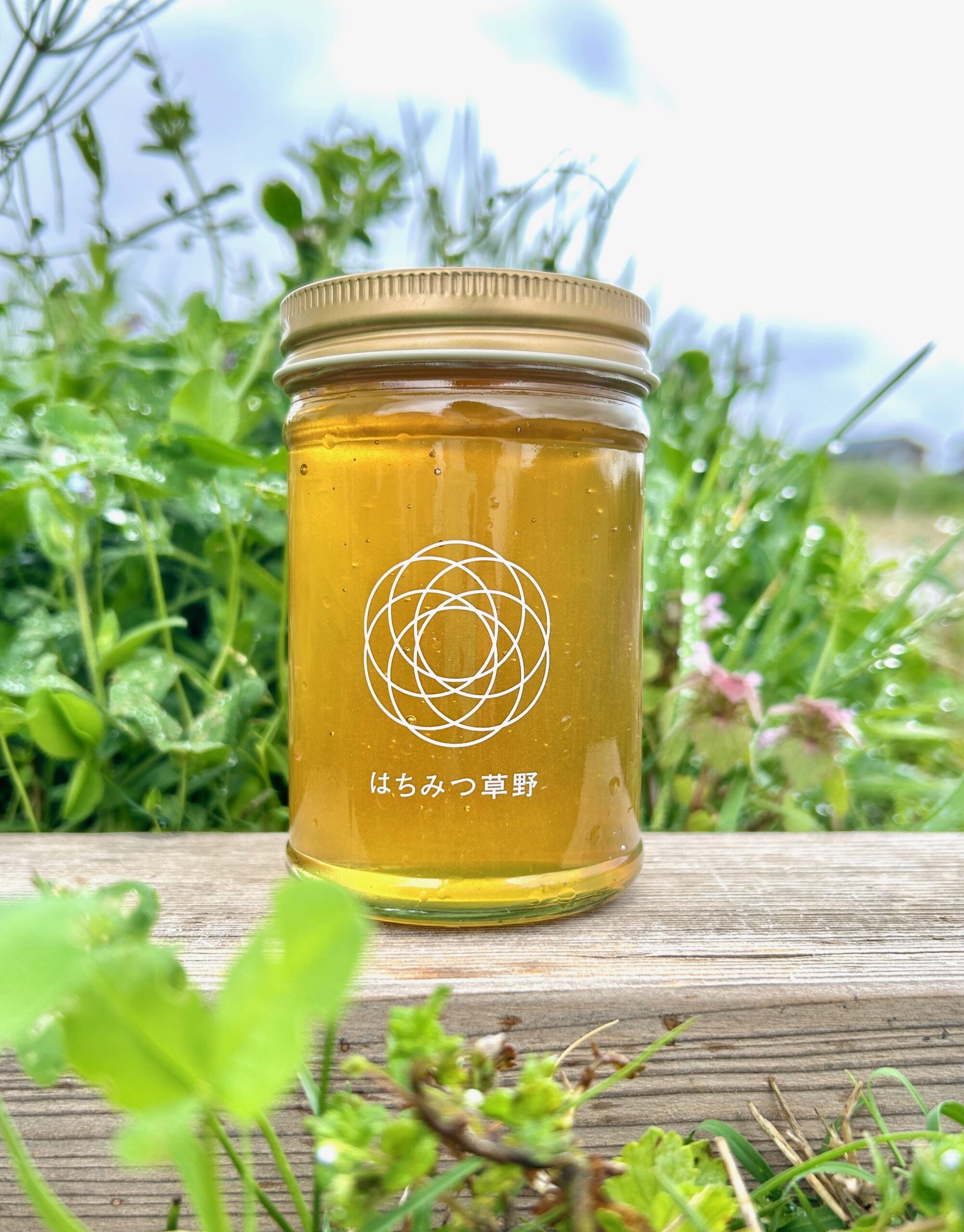 みーみ　ふじのはちみつ【150g×16】2025/5採蜜　国産　蜂蜜　新蜜 ふじのはちみつ【150g】2025/5採蜜 国産 蜂蜜 新蜜｜Yahoo