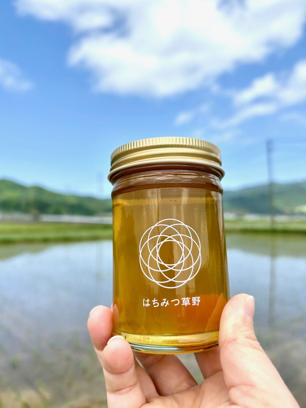 2025年産はちみつ②】『里山の花々春』5/18収穫 | はちみつ草野-純国産